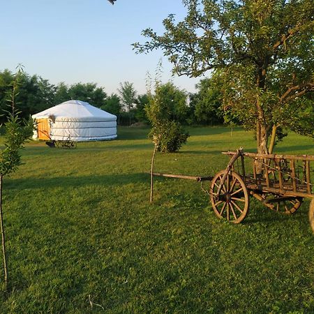 Apartmán Mirella33 Palić Exteriér fotografie