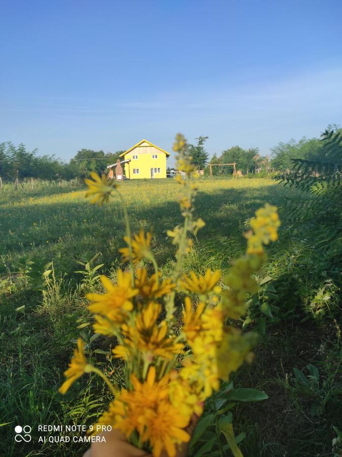 Apartmán Mirella33 Palić Exteriér fotografie