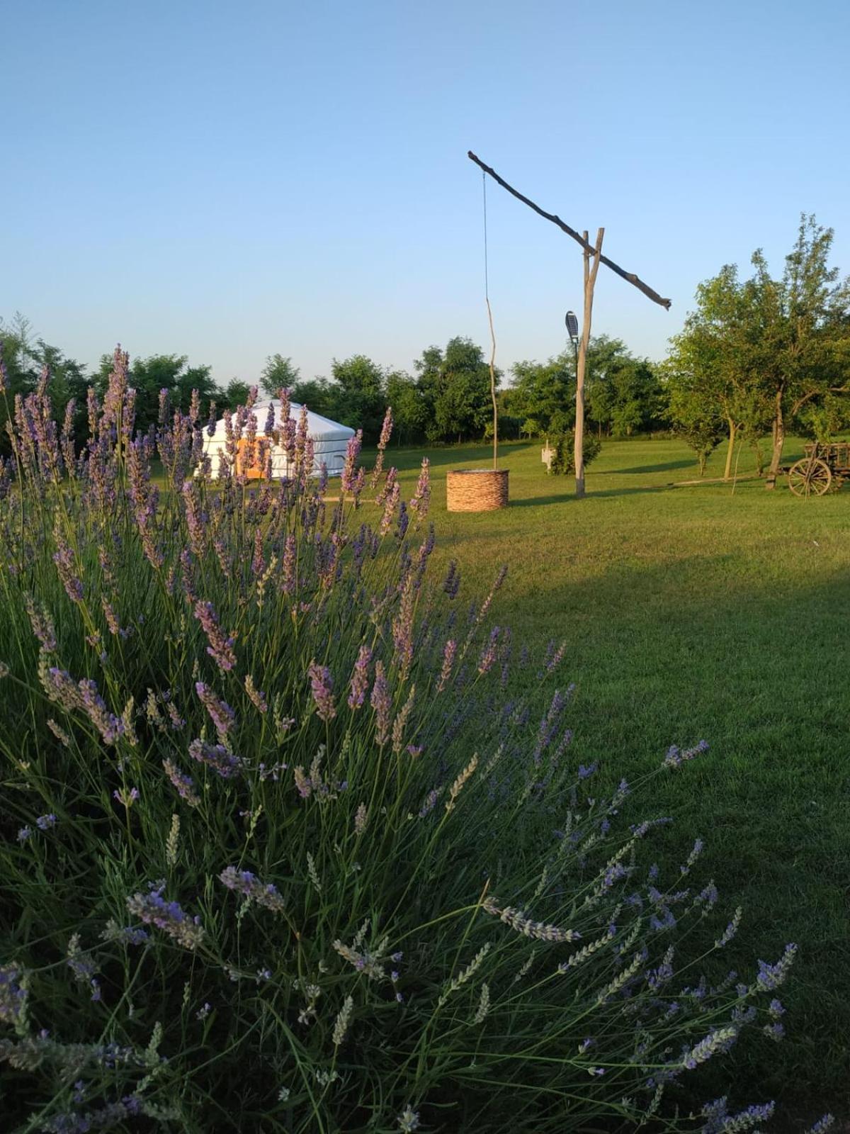 Apartmán Mirella33 Palić Exteriér fotografie